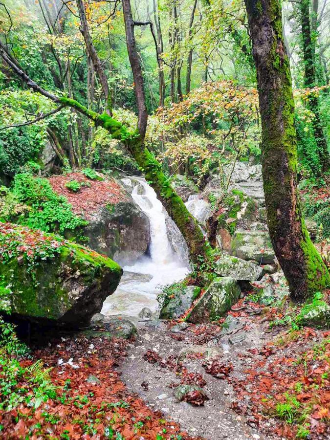 A Dream Deferred Villa Pelion Κισσός Εξωτερικό φωτογραφία