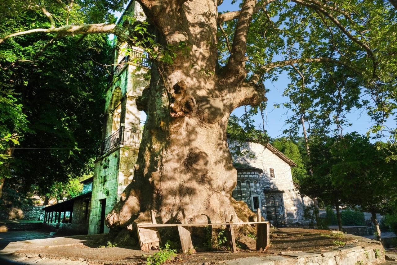 A Dream Deferred Villa Pelion Κισσός Εξωτερικό φωτογραφία