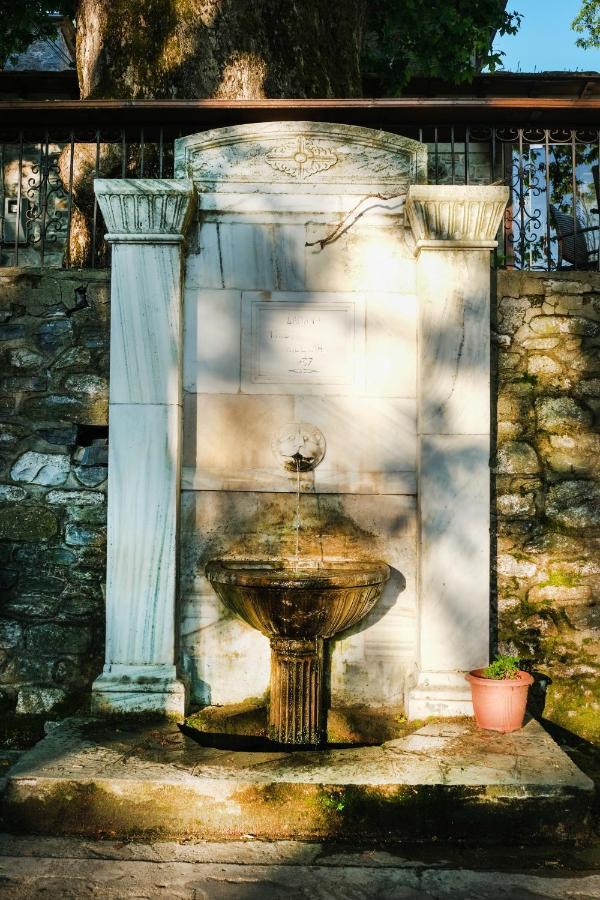 A Dream Deferred Villa Pelion Κισσός Εξωτερικό φωτογραφία