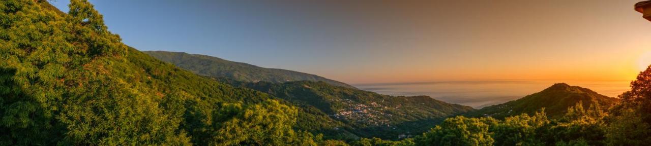 A Dream Deferred Villa Pelion Κισσός Εξωτερικό φωτογραφία